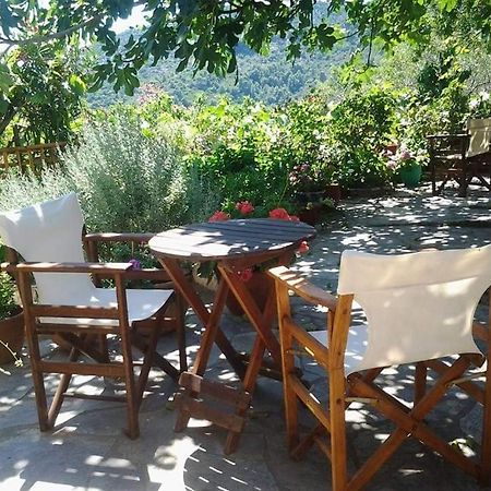 Villa Panayiota Alonnisos Town ภายนอก รูปภาพ