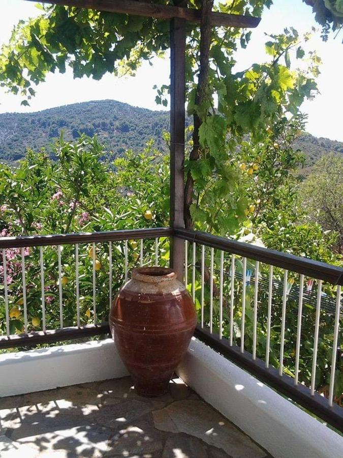 Villa Panayiota Alonnisos Town ภายนอก รูปภาพ