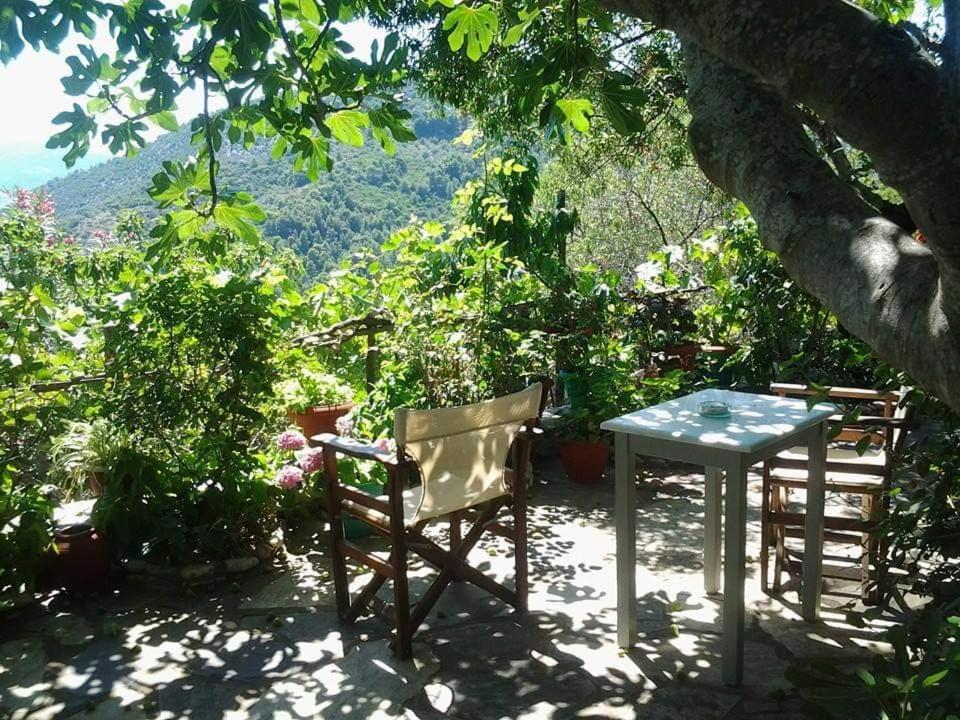 Villa Panayiota Alonnisos Town ภายนอก รูปภาพ