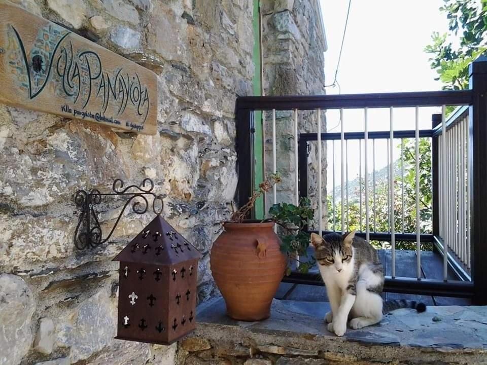 Villa Panayiota Alonnisos Town ภายนอก รูปภาพ