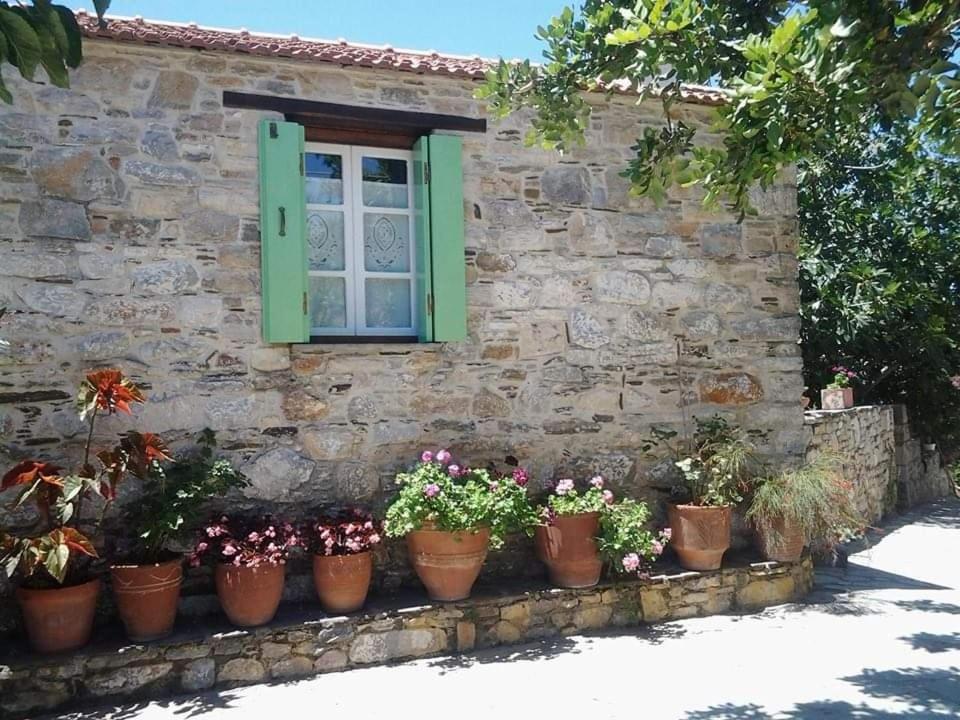 Villa Panayiota Alonnisos Town ภายนอก รูปภาพ