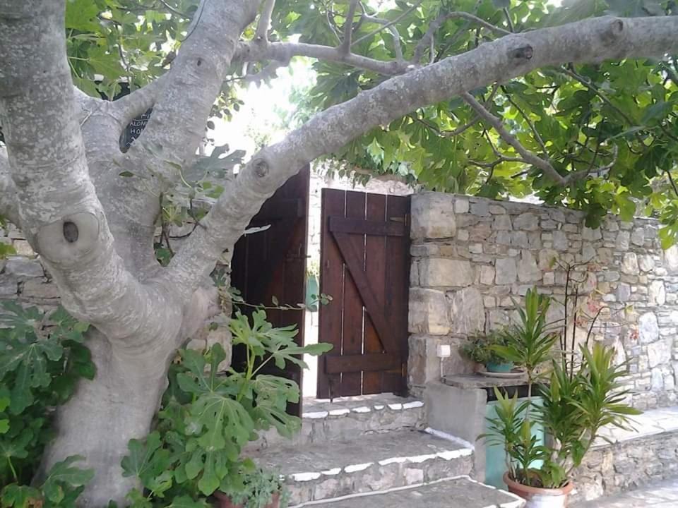 Villa Panayiota Alonnisos Town ภายนอก รูปภาพ