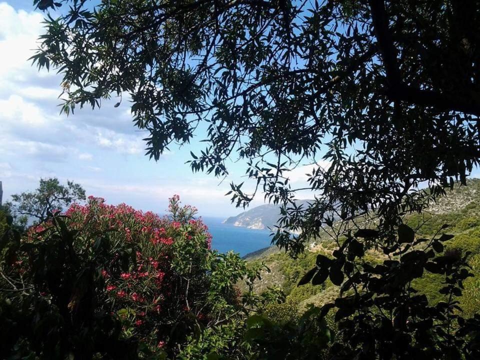 Villa Panayiota Alonnisos Town ภายนอก รูปภาพ