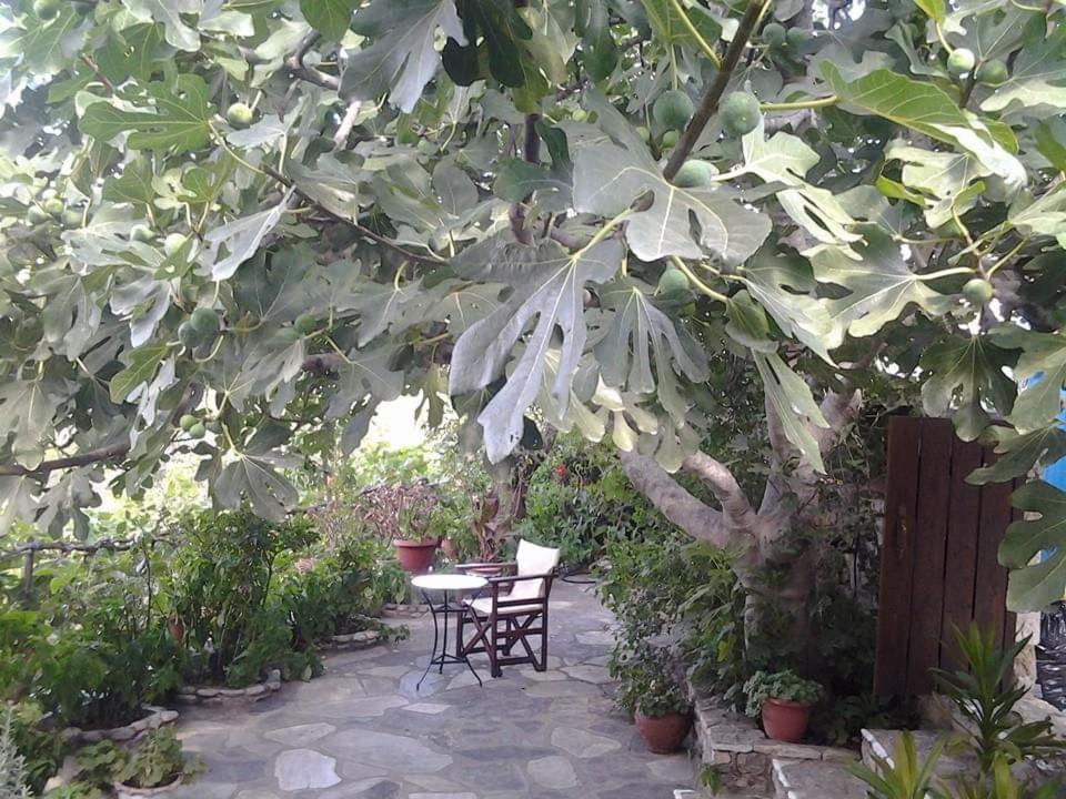 Villa Panayiota Alonnisos Town ภายนอก รูปภาพ