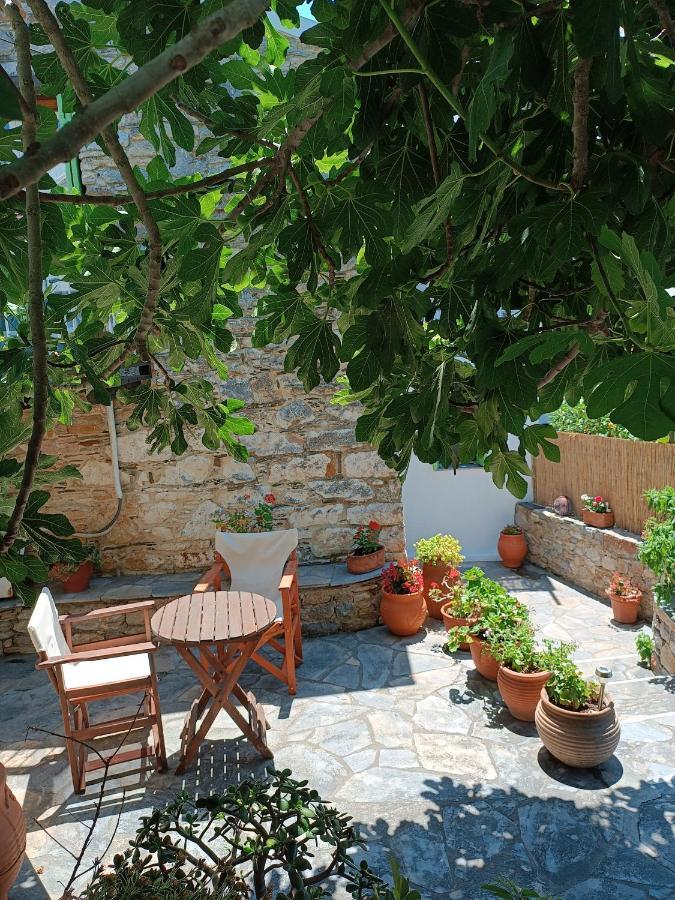 Villa Panayiota Alonnisos Town ภายนอก รูปภาพ